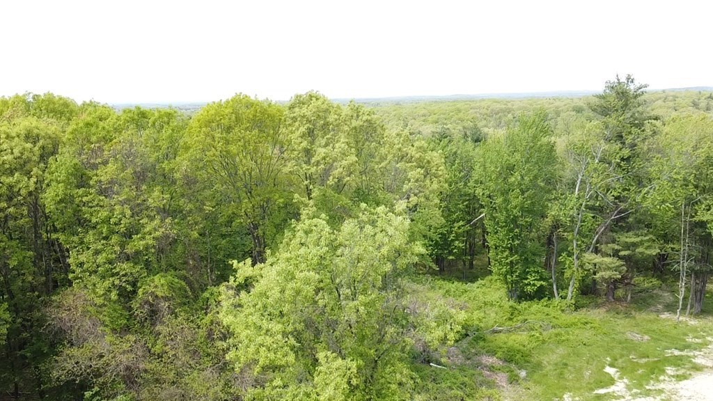 Lot 5 Prospect Hill Rd, Harvard, Massachusetts 01451, ,Land,For Sale,Prospect Hill Rd,73057813