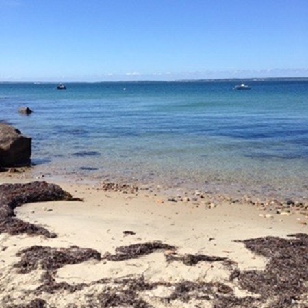 56 Chilmark Rd Ch208, Chilmark, Massachusetts 02535, 4 Bedrooms Bedrooms, 8 Rooms Rooms,3.5 BathroomsBathrooms,Residential Lease,For Rent,Chilmark Rd Ch208,72850821