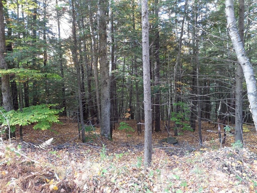 0 Thayer Hill Rd, Worthington, Massachusetts 01098, ,Land,For Sale,Thayer Hill Rd,73131456