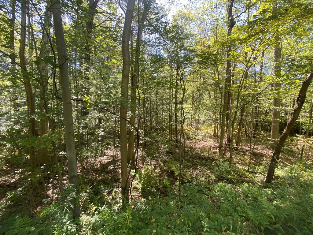 0 State Road, Erving, Massachusetts 01344, ,Land,For Sale,State Road,73157612