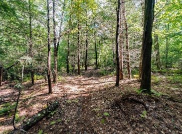 55 Otis-Tolland Rd, Lot 2, Blandford, Massachusetts 01008, ,Land,For Sale,Otis-Tolland Rd, Lot 2,73159077