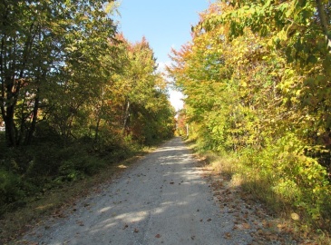 lot a Holcomb, Chester, Massachusetts 01011, ,Land,For Sale,Holcomb,73046195