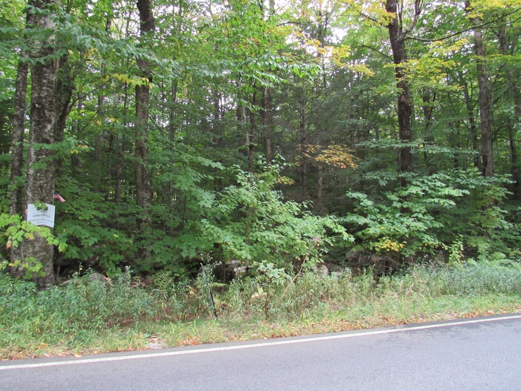 lot 2 Skyline Trail, Middlefield, Massachusetts 01243, ,Land,For Sale,Skyline Trail,73046189