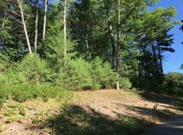 60 Buffam Road, Pelham, Massachusetts 01002, ,Land,For Sale,Buffam Road,73179097