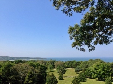 71 Bartmus Luce Road Wt154, West Tisbury, Massachusetts, 3 Bedrooms Bedrooms, 7 Rooms Rooms,2.5 BathroomsBathrooms,Residential Lease,For Rent,Bartmus Luce Road Wt154,72845474