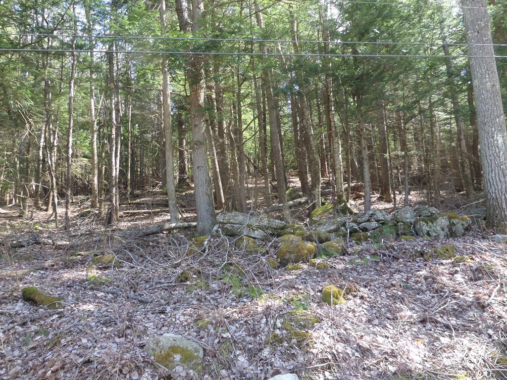 LOT 1 Thayer Hill Road, Worthington, Massachusetts, ,Land,For Sale,Thayer Hill Road,73194625