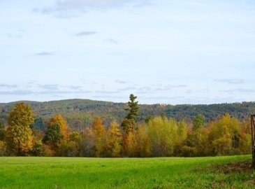 Lot 89 Paige Hill Road, Brimfield, Massachusetts, ,Land,For Sale,Paige Hill Road,73198180