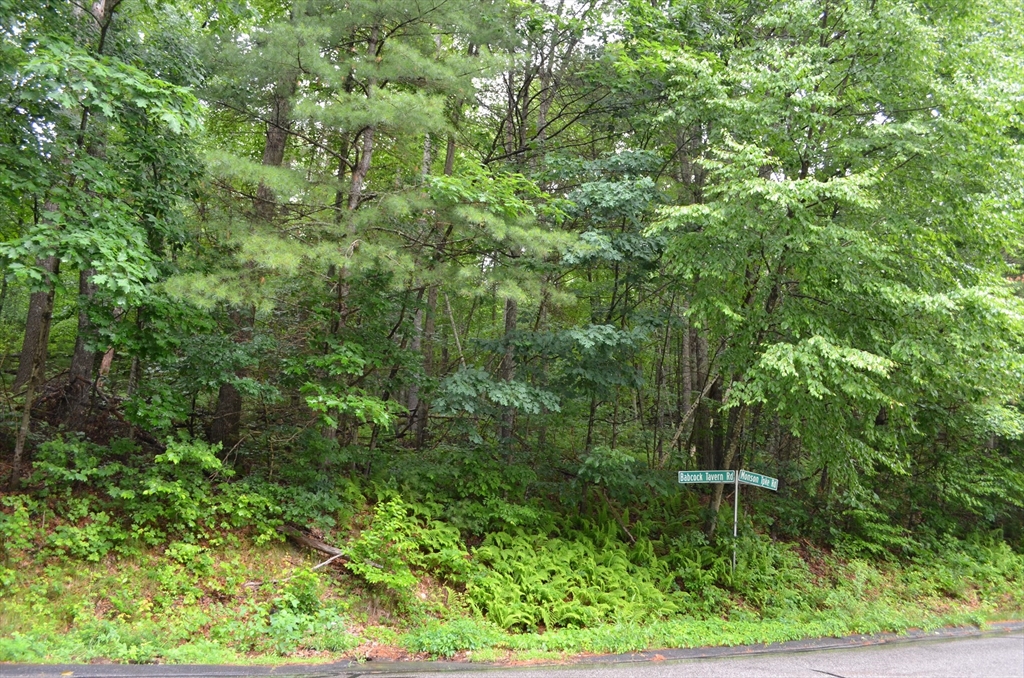 Lot 8 Monson Turnpike Rd, Ware, Massachusetts, ,Land,For Sale,Monson Turnpike Rd,73198933