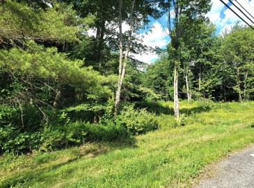 0 State Rd, Phillipston, Massachusetts, ,Land,For Sale,State Rd,73211502