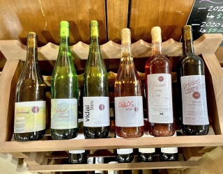 335 Old Fall River Rd, Dartmouth, Massachusetts, 3 Bedrooms Bedrooms, 5 Rooms Rooms,1 BathroomBathrooms,Residential,For Sale,Old Fall River Rd,73216158