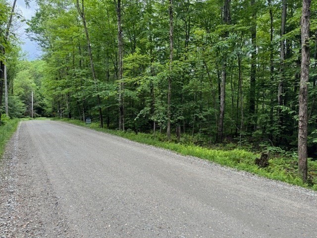 Lot 121 Davis Mine Rd, Rowe, Massachusetts, ,Land,For Sale,Davis Mine Rd,73217137