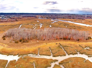 0 Wills Island, Scituate, Massachusetts, ,Land,For Sale,Wills Island,73219371