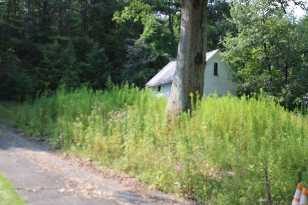 12 Flagg Hl, Erving, Massachusetts, ,Land,For Sale,Flagg Hl,72880960