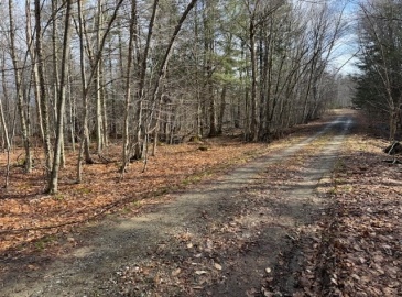 00 Cherrie Pierson Rd, Charlemont, Massachusetts, ,Land,For Sale,Cherrie Pierson Rd,73216679