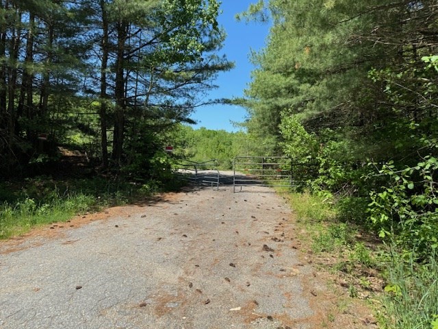 0 Gardner Rd, Hubbardston, Massachusetts, ,Land,For Sale,Gardner Rd,73246225