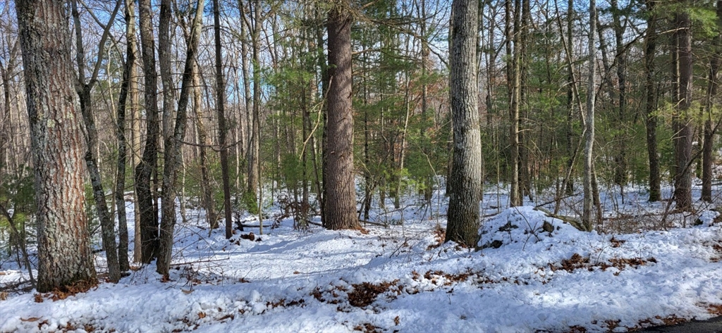 Lot 1 Silver, Monson, Massachusetts, ,Land,For Sale,Silver,73202742