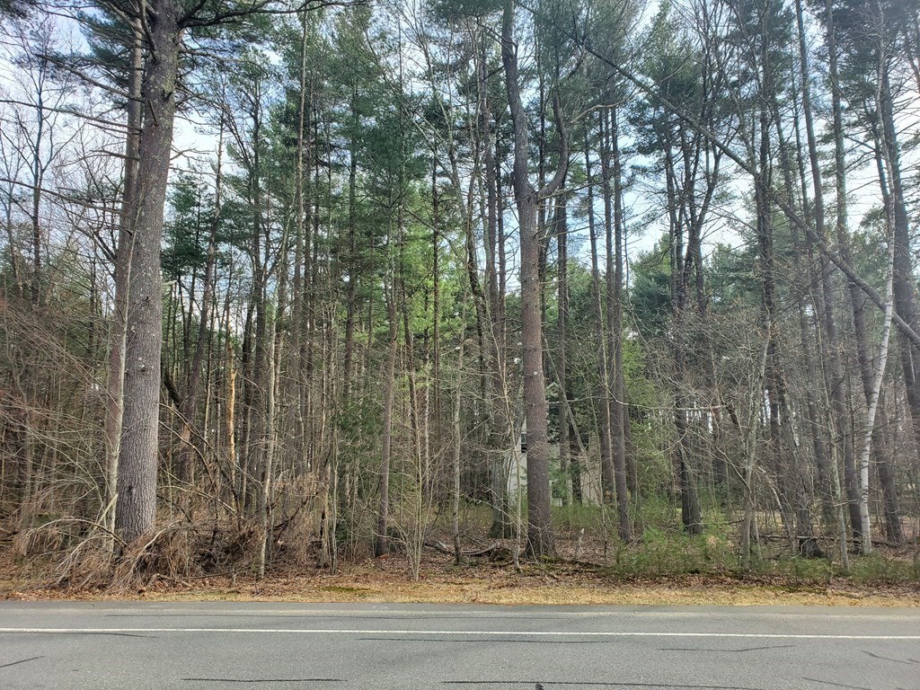 Lot 1 Westhampton Road, Northampton, Massachusetts, ,Land,For Sale,Westhampton Road,72965533