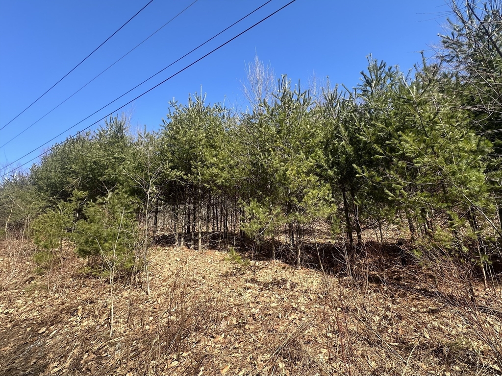 Lot 3 8 Beulah Land Rd., Blandford, Massachusetts, ,Land,For Sale,8 Beulah Land Rd.,73211337