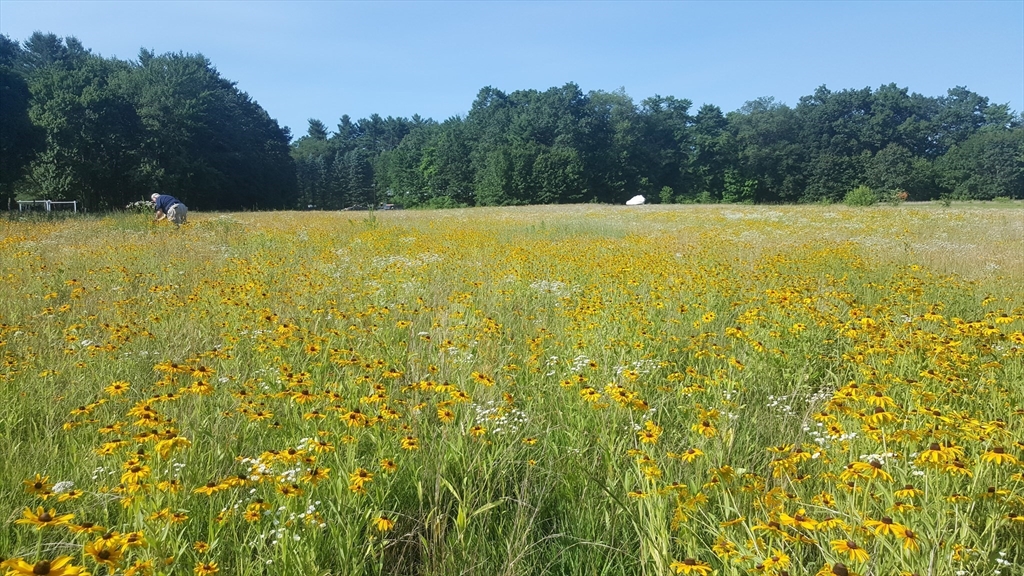 0 Depot Rd, Hatfield, Massachusetts, ,Land,For Sale,Depot Rd,73207821