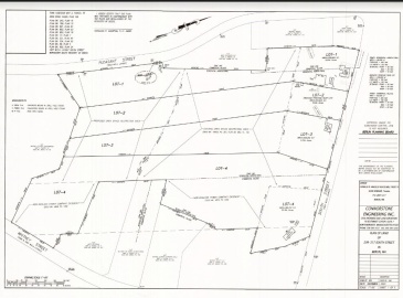 317 South Street, Berlin, Massachusetts, ,Land,For Sale,South Street,73251013