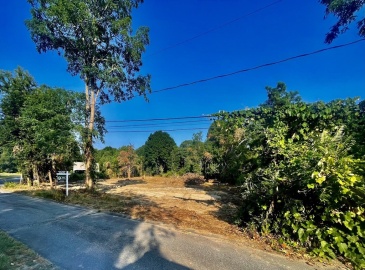 27 White Cap Lane, Barnstable, Massachusetts, ,Land,For Sale,White Cap Lane,73259179