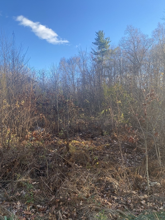 379 Adams Rd, New Braintree, Massachusetts, ,Land,For Sale,Adams Rd,73264725