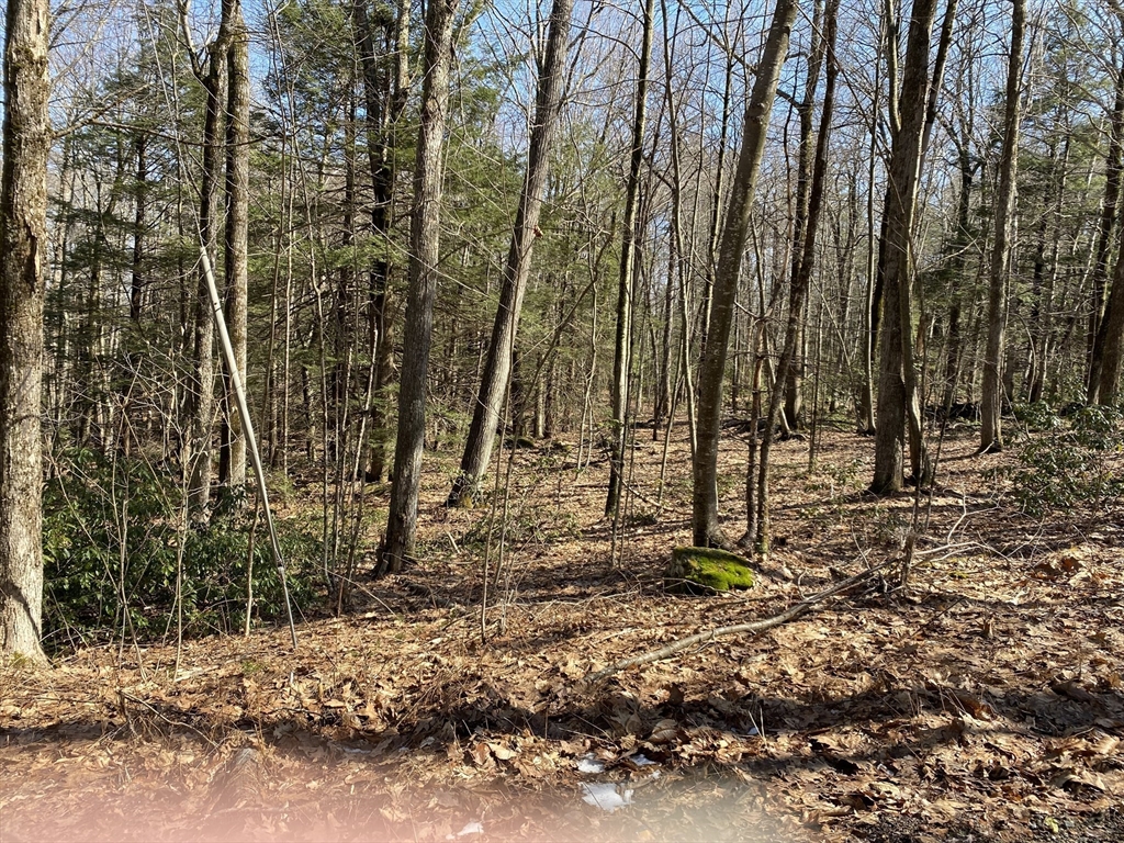 Lot 55 Wendell Rd, New Salem, Massachusetts, ,Land,For Sale,Wendell Rd,72923461