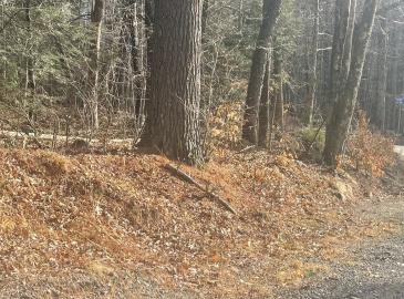 Lot 27 Hartland Road, Tolland, Massachusetts, ,Land,For Sale,Hartland Road,73217584