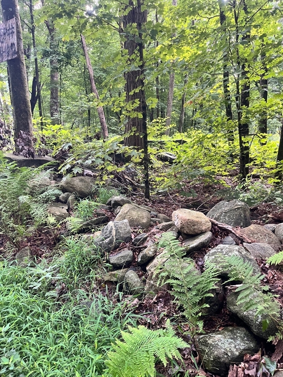 Lot 17.04 & 17.05 Sabin Street, Belchertown, Massachusetts, ,Land,For Sale,17.04 & 17.05 Sabin Street,73279469