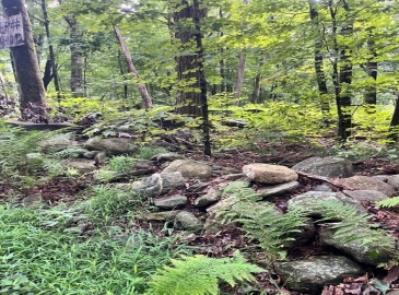 Lot 17.04 & 17.05 Sabin Street, Belchertown, Massachusetts, ,Land,For Sale,17.04 & 17.05 Sabin Street,73279469