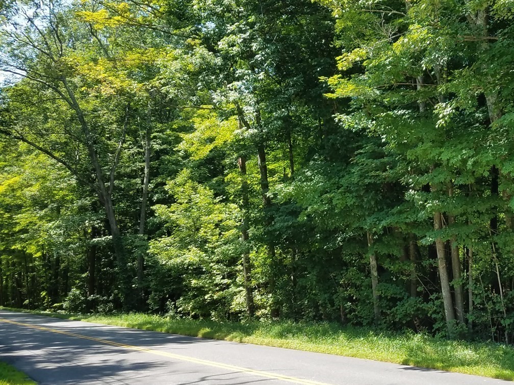 266 Holland Rd, Sturbridge, Massachusetts, ,Land,For Sale,Holland Rd,73281991