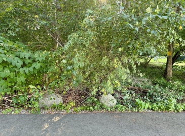 0 Talmadge Ave, Braintree, Massachusetts, ,Land,For Sale,Talmadge Ave,73283456