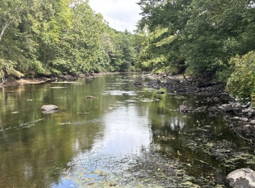 236 Dedham St, Dover, Massachusetts, ,Land,For Sale,Dedham St,73286666