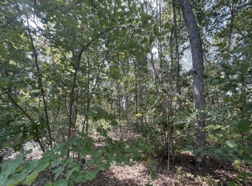 156 Rocky Hill Rd, Rehoboth, Massachusetts, ,Land,For Sale,Rocky Hill Rd,73289527