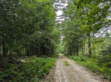 Lot Eaton Grange Rd, Sutton, New Hampshire, ,Land,For Sale,Eaton Grange Rd,73293558