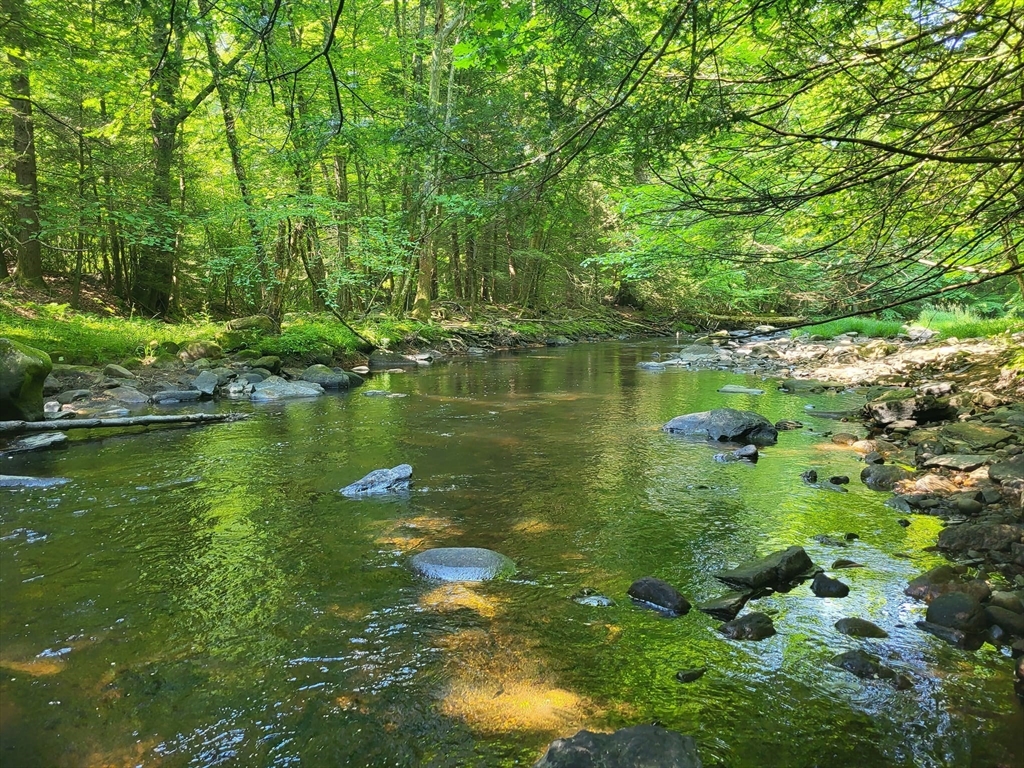 XOXO River Rd, Willington, Connecticut, ,Land,For Sale,River Rd,73293945