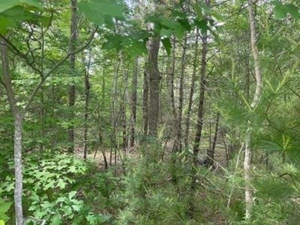 170 Elm Street, Hanson, Massachusetts, ,Land,For Sale,Elm Street,73294790