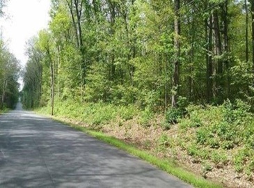 XOXO Mihaliak Rd, Willington, Connecticut, ,Land,For Sale,Mihaliak Rd,73297539