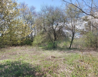 18-20 Old W Brookfield Rd, North Brookfield, Massachusetts, ,Land,For Sale,Old W Brookfield Rd,73299521