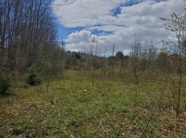 61 Bates St, North Brookfield, Massachusetts, ,Land,For Sale,Bates St,73299528