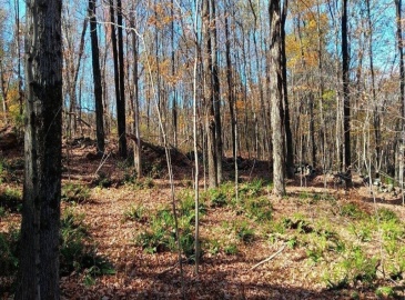 112 Fenton Road, Monson, Massachusetts, ,Land,For Sale,Fenton Road,73304854