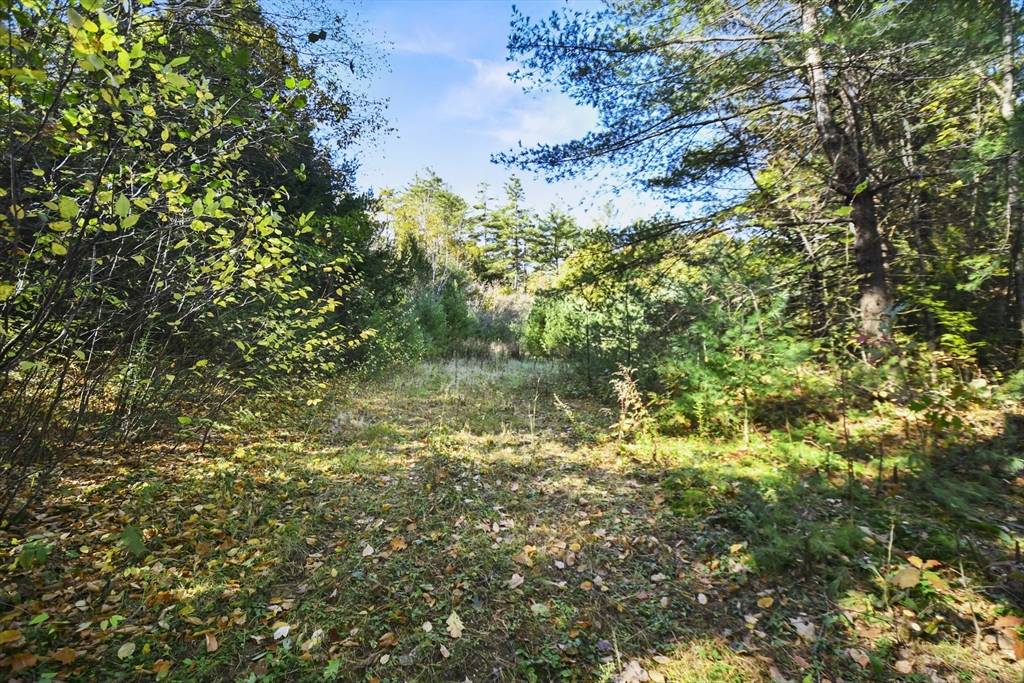 0 Main Rd, Phillipston, Massachusetts, ,Land,For Sale,Main Rd,73304966