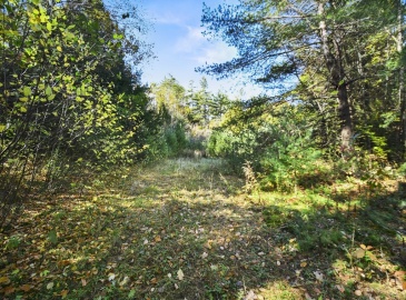 0 Main Rd, Phillipston, Massachusetts, ,Land,For Sale,Main Rd,73304966