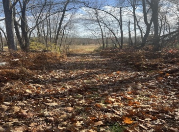 0 N Liberty St, Belchertown, Massachusetts, ,Land,For Sale,N Liberty St,73308755