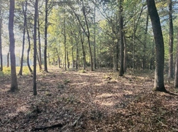 Lot2 North Hatfield Road, Hatfield, Massachusetts, ,Land,For Sale,North Hatfield Road,73309676