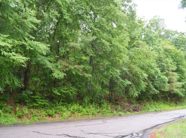 Lot 4 Babcock Tavern Rd, Ware, Massachusetts, ,Land,For Sale,Babcock Tavern Rd,73198200