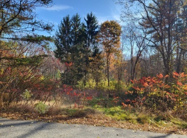 0 Hillside Drive, Brimfield, Massachusetts, ,Land,For Sale,Hillside Drive,73309011