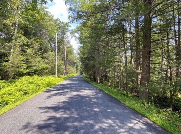 0 West Road, Northfield, Massachusetts, ,Land,For Sale,West Road,73237290