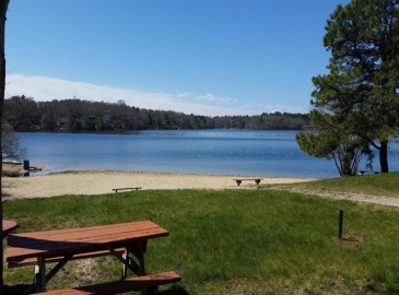 0 Round Pond Dr, Falmouth, Massachusetts, ,Land,For Sale,Round Pond Dr,73282172