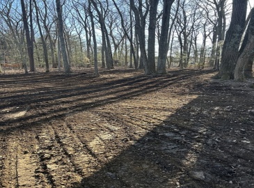 75 Hiland Rd, Charlton, Massachusetts, ,Land,For Sale,Hiland Rd,73227401